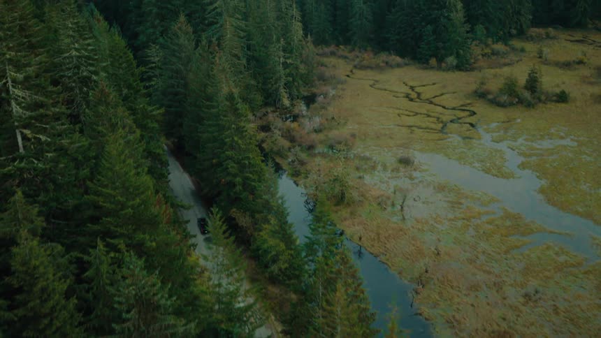 An aerial clip of a car traveling through the forest