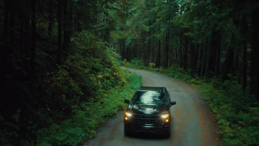 A black pickup truck travels along a remote road in an evergreen forest during autumn