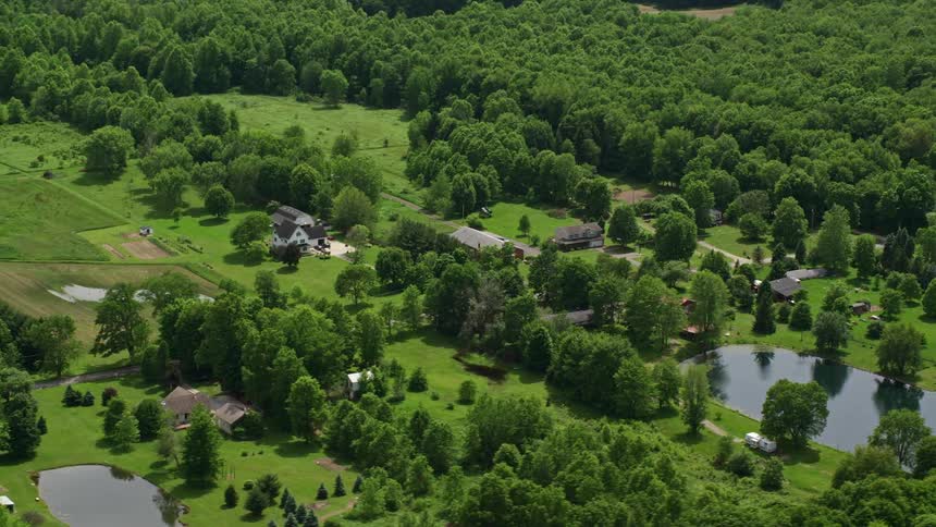 Homes are spaced out along the forest