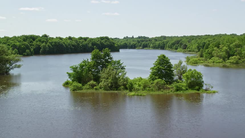 Aerial view of a serene river with an island and surrounding forests