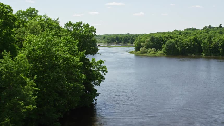 A footage of a river in the forest