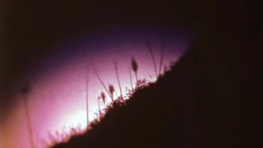 Close up view of grassland landscape while sun is setting in horizon