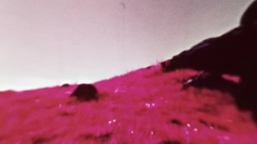 A pink goo overlaid on a darker substance