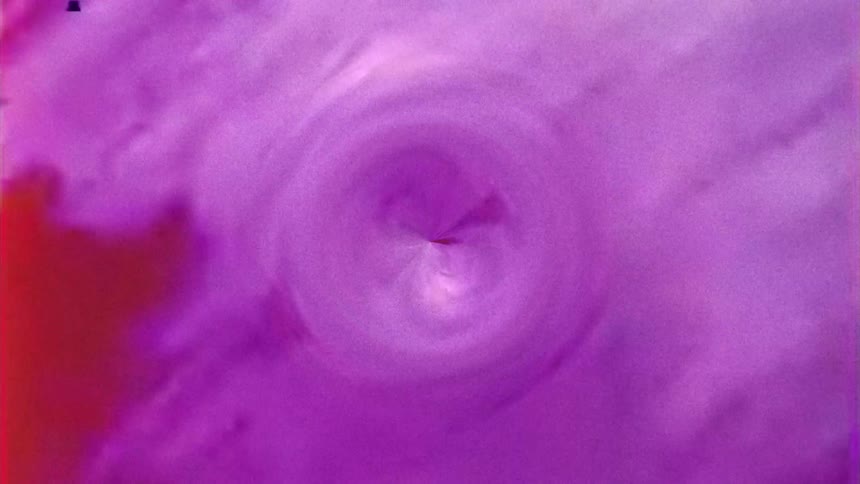 Abstract frame of an object rotating and passing red roses and purple colorations
