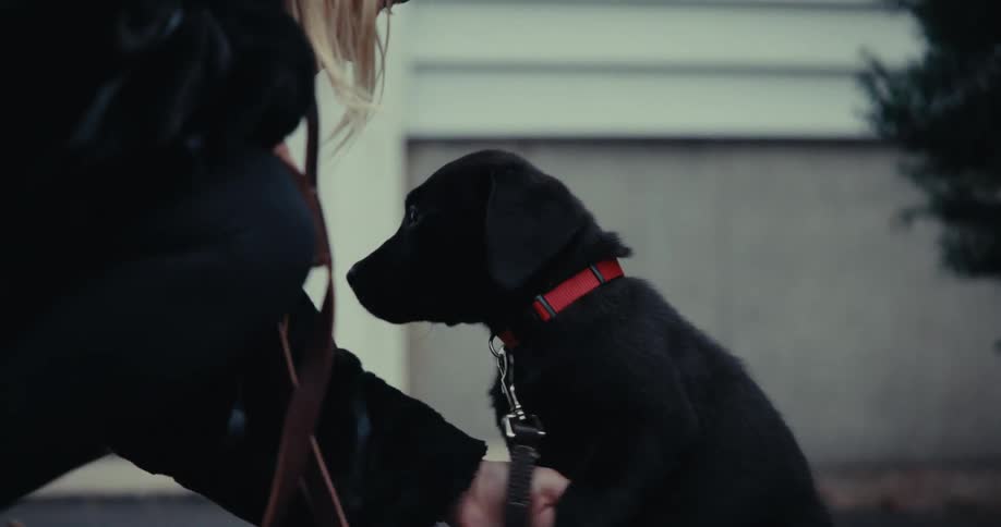 A woman in a black coat squats down to pet her leashed black puppy