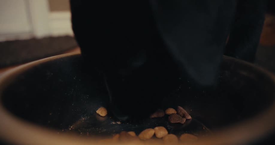 Very hungry puppy eating kibble from a metal bowl