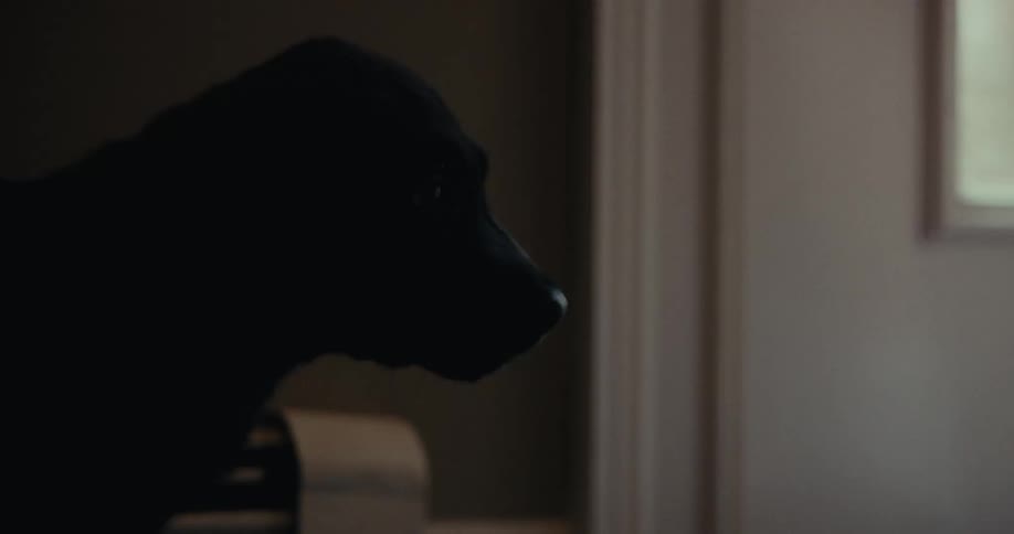 Black dog indoors running its tongue over its nose