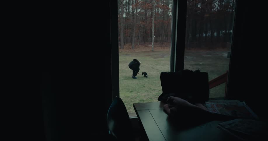 Person playing with their dog during the fall season