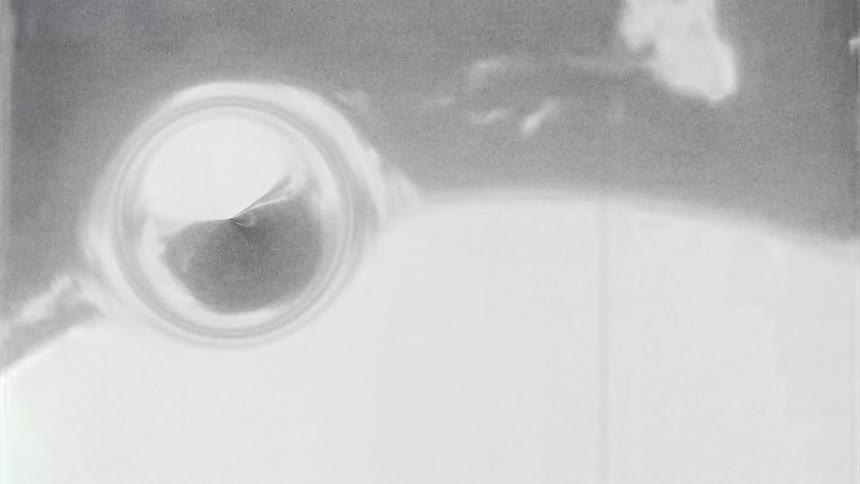 Black and white microscopic view of a microorganism in abstract motion
