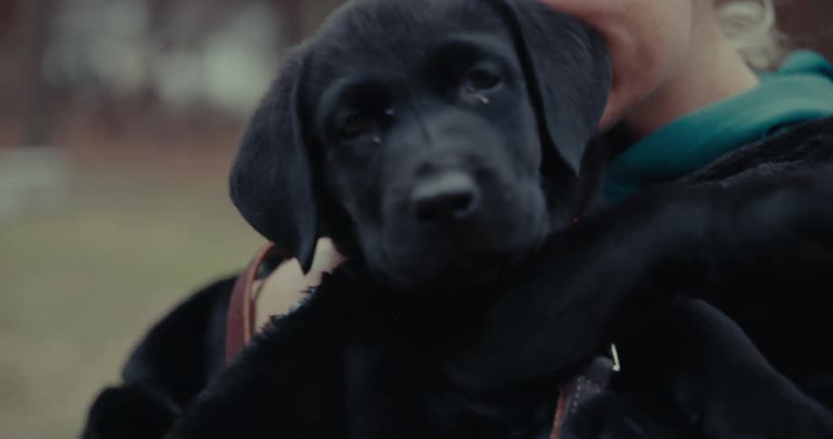 A blonde woman smiles while holding a puppy