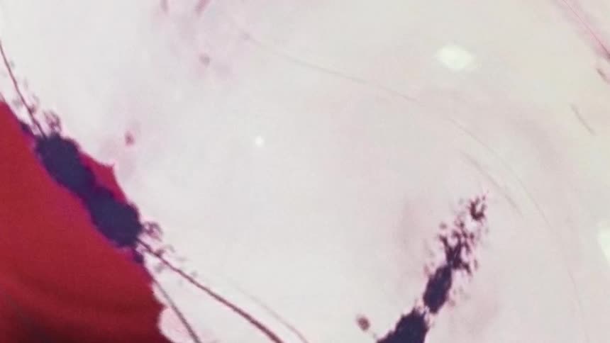 Microscopic views of an abstract organism expanding in white coloring