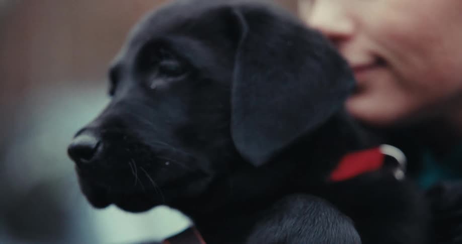 Woman is holding her puppy outdoors during the daytime