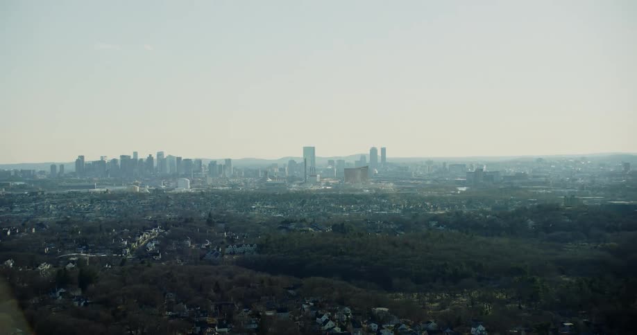 Panorama of a metropolis with skyscrapers and urban neighborhoods with greenery around