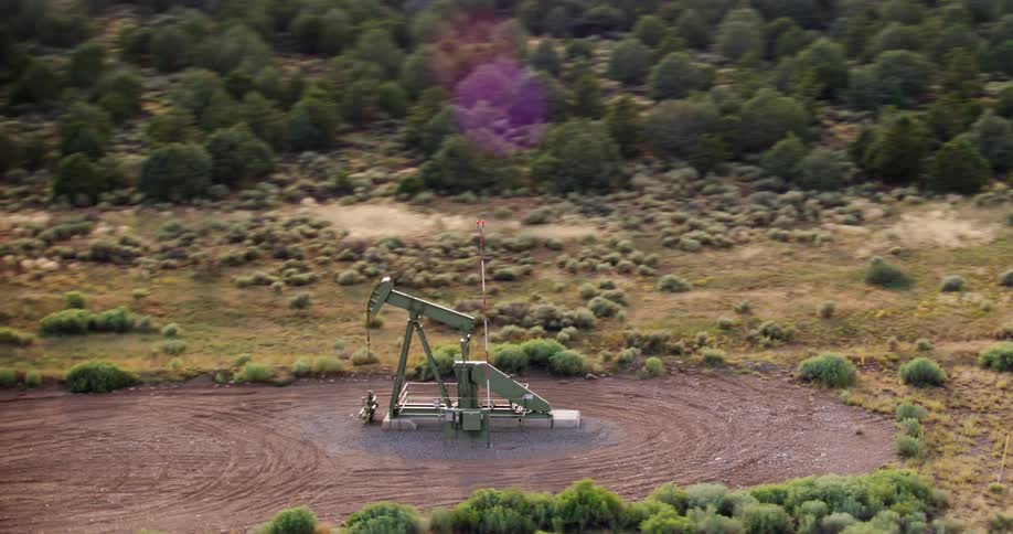An oil rig is in the middle of the forest