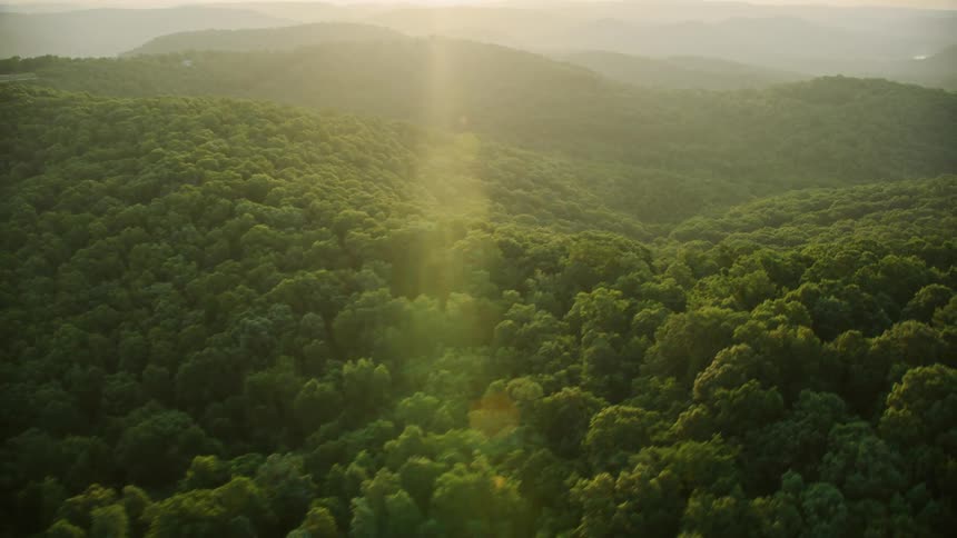 Aerial panorama of green forest amidst hills and mountains with solar reflection