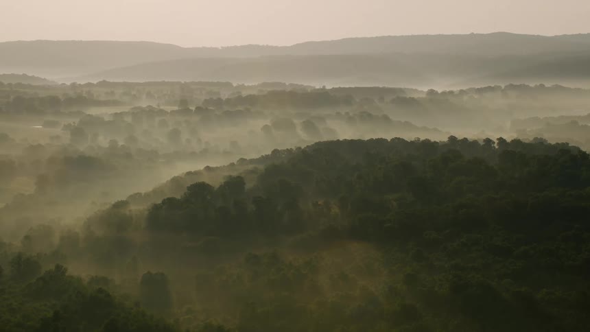 Thin fog covers the forest in the mountains