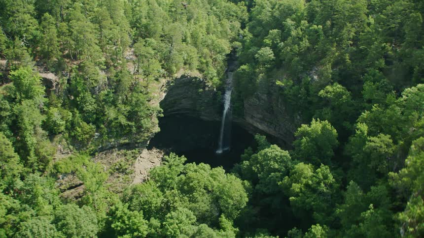 Birds fly over waterfall flowing down cliff in forested terrain