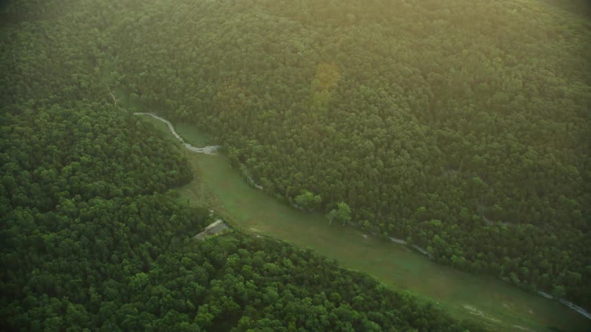 A river runs through the woods
