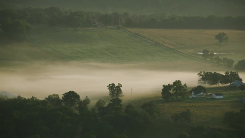 Fog collects over a farm field