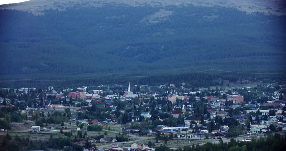 An aerial clip of a neighborhood with vast vegetation