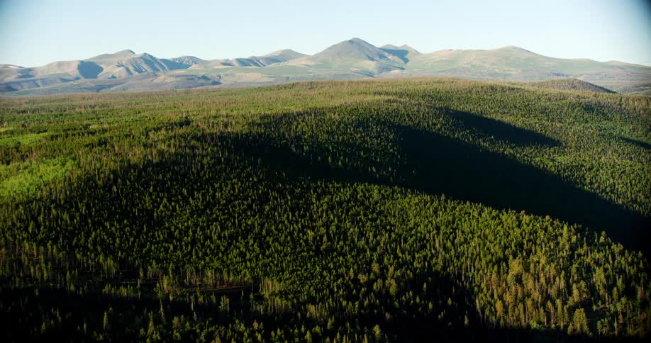 Aerial panorama of forests amid mountains on a cloudless blue sky day