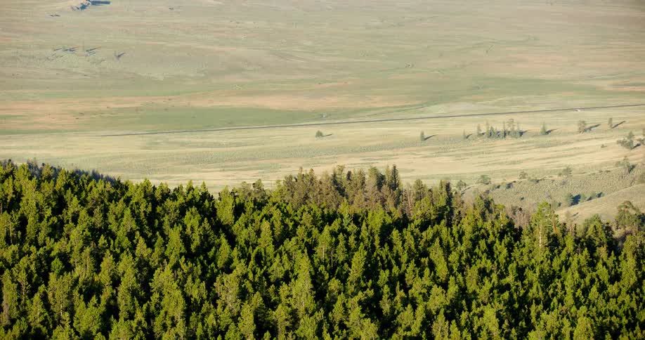Landscape of mountains covered with forests and on the edge of natural fields