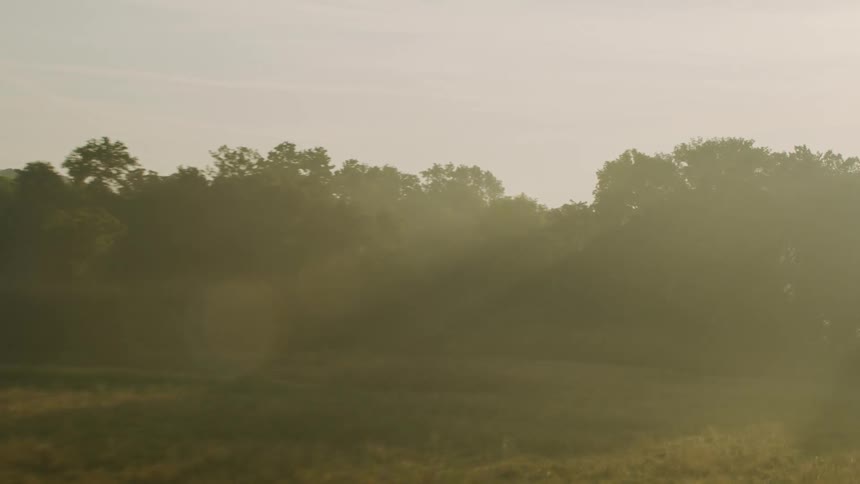 Aerial view of the lush vegetation on the countryside under the morning mist