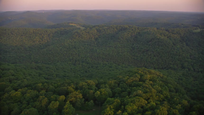 Aerial panorama of a greenish forest over mountains in a purple morning sky