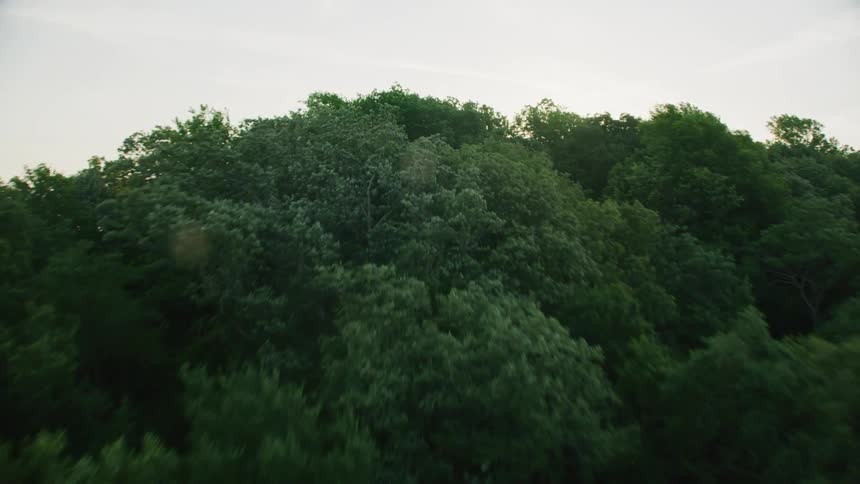 Panorama of hills and mountains covered in forests and green with the sun on the horizon