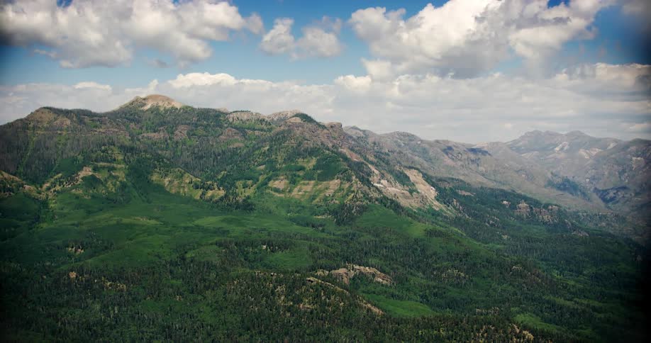 Aerial view of a lush green vegetation covered mountain hillside with blue sky and white clouds