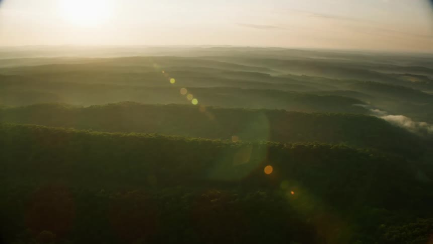 A vast forest over plains and hills