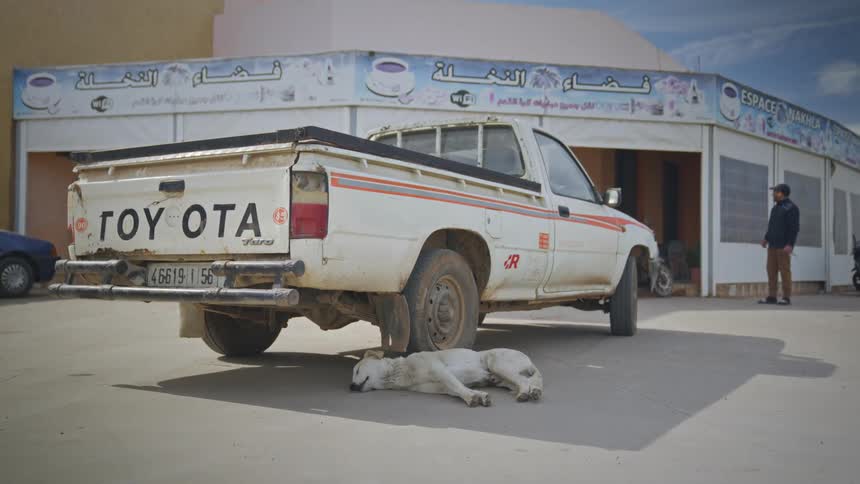 A dog sleeps behind the rear tire of a truck a man is seen in the distance