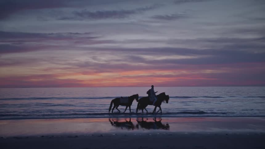 A group of people riding horses on the coast of the ocean side beach