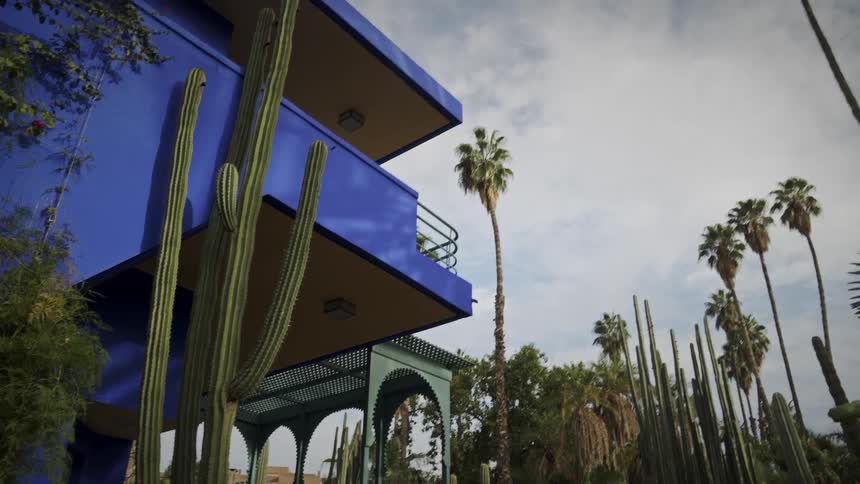 Palm trees and cacti surrounds the blue walls of the majorelle garden