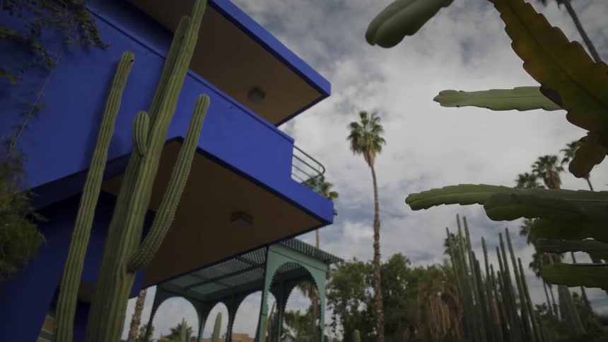 Palms and cacti outside of a building