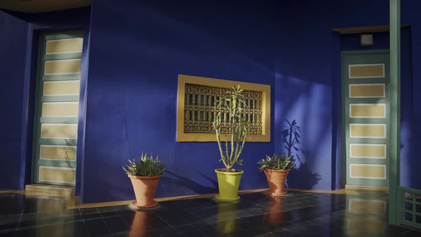 Blue wall and plants at jardin majorelle in morocco