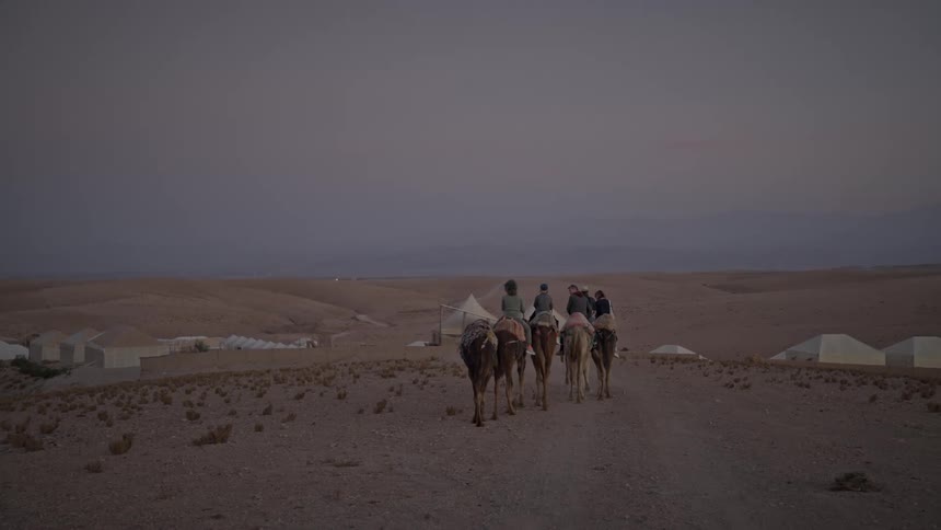 People riding camels through the desert one morning