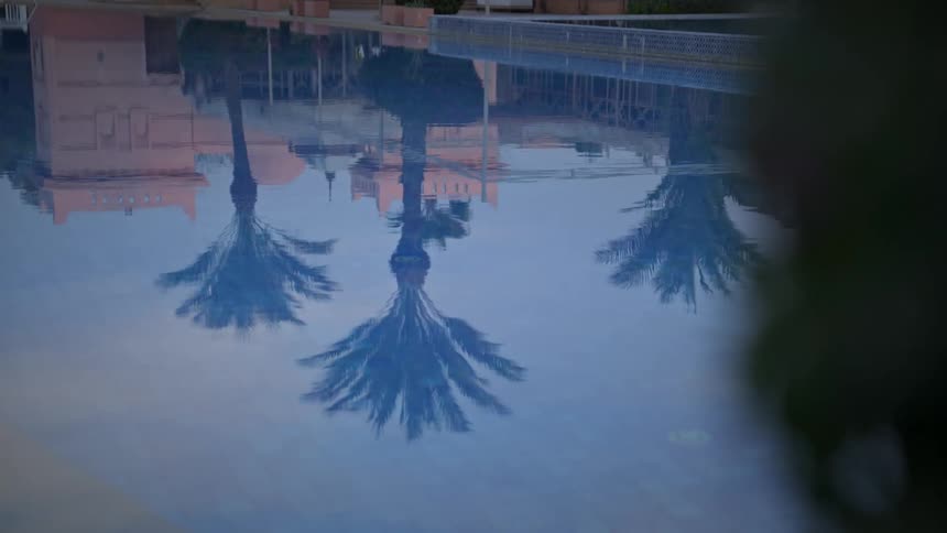 Palm trees reflecting in a pool of water
