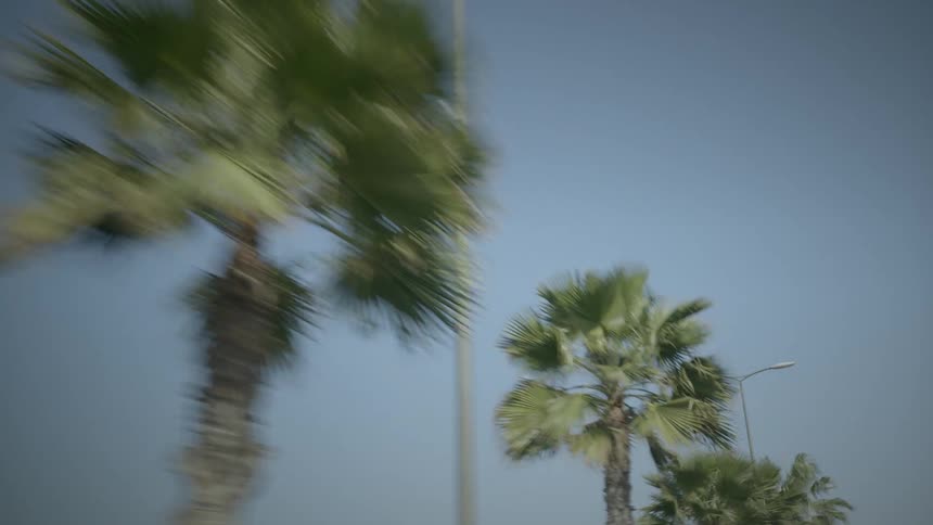 Driving view looking up as palm trees and street lamps lined up in a row pass by under a blue sky