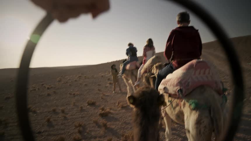 Camel - Group of people tourists riding camels through the desert