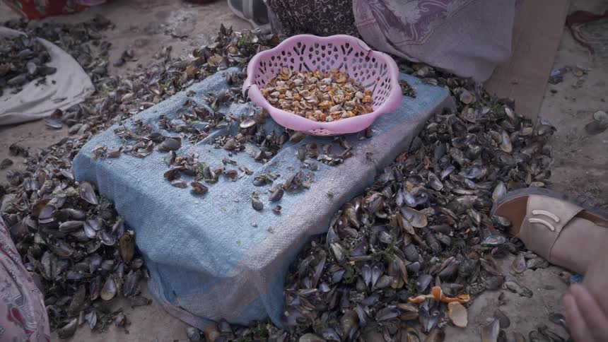 A basket overflowing with seashells sits on a towel