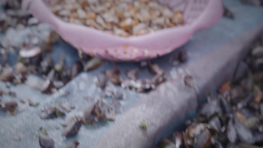 A pile of black shells next to a bowl filled with mussels