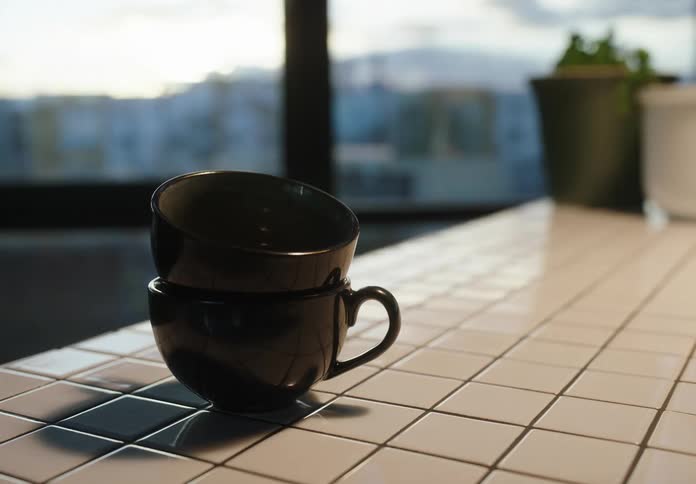 Coffee cups sitting on a table near a plant