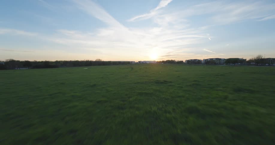 Field of grass with horses and the sun on the horizon