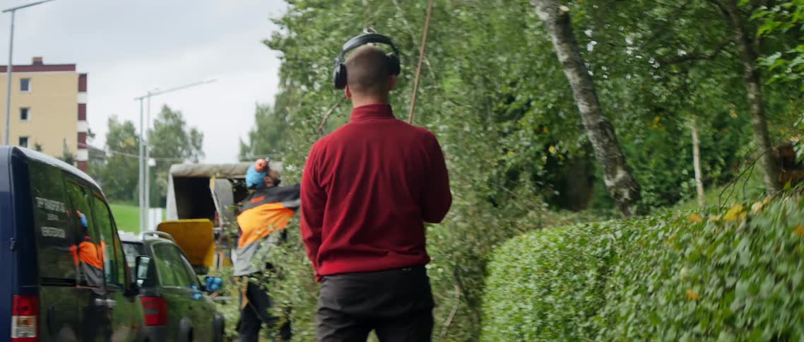 Landscaper removing the chopped branches of a tree