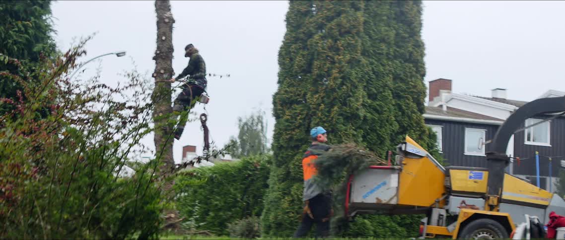 Men cutting tree branches and crushing them on a machine in an outdoor environment