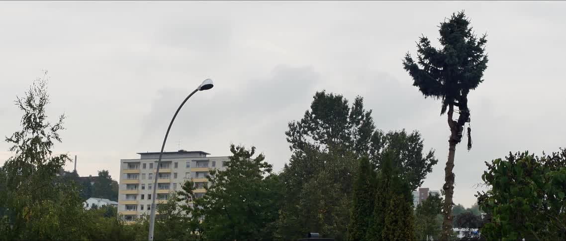 A clip of a white building in a neighborhood