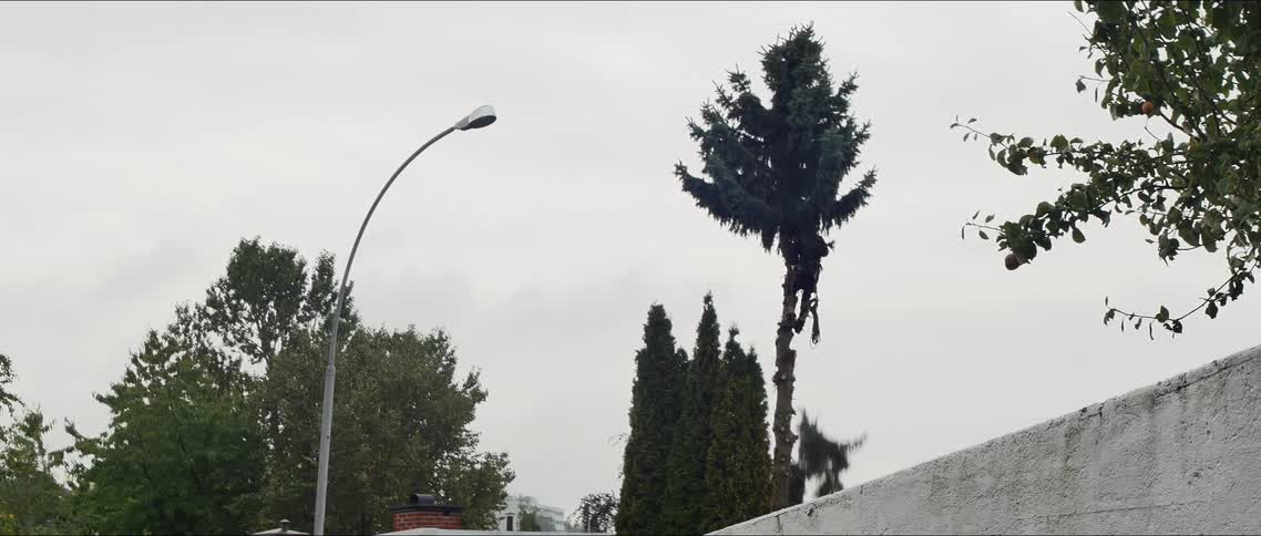 Man on a tree trunk cutting the branches