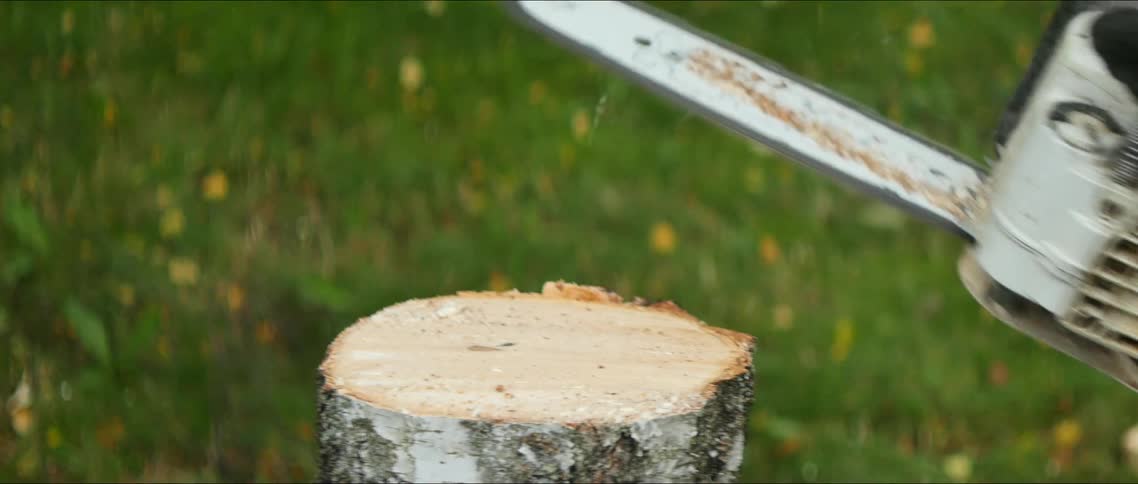 Close up of a chainsaw cutting a tree