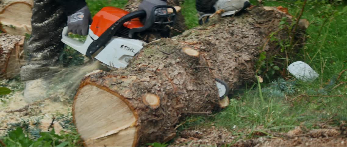 Man with a chainsaw sawing a tree trunk